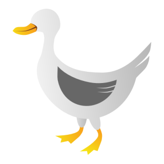Duck Png Best Clipart PNG images