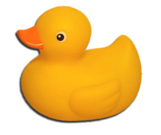Png Free Download Images Duck PNG images