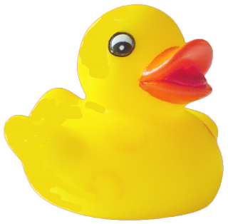 High-quality Png Duck Download PNG images