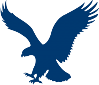 Png Save Eagle PNG images