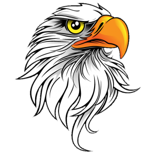 Eagle Save Png PNG images