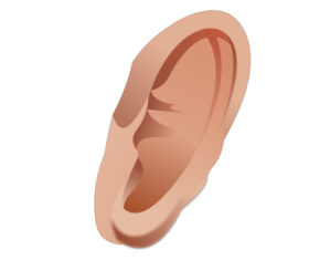 ears clipart png