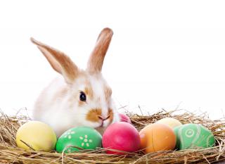 Png Format Images Of Easter Bunny PNG images