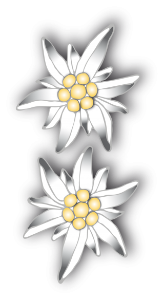 Binary Edelweiss Patterned Flat Picture PNG images