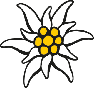 Edelweiss Painted Black And Yellow Images PNG images