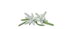 Image Colored Soft Crown TarziEdelweiss PNG images