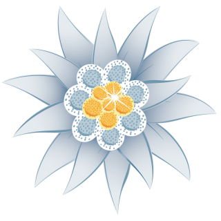 Photo Transparent Blue Edelweiss PNG images