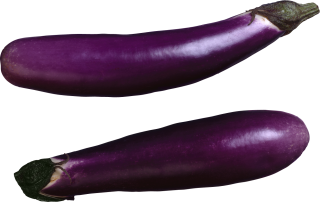 Download Eggplant Png Clipart PNG images