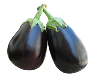 Eggplant Picture Download PNG images