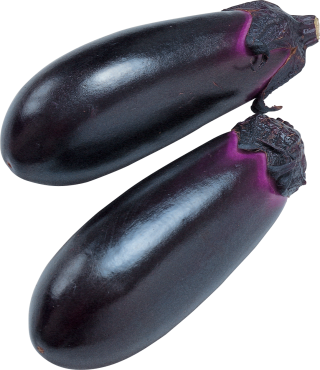 Eggplant PNG Picture PNG images