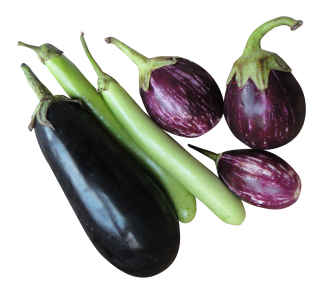 Hd Eggplant Png Transparent Background PNG images