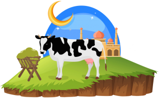 Feast Of Sacrifice, Eid Qurban, Eid Mubarak, Cow PNG images