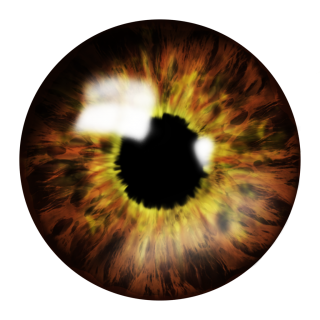 Eye PNG, Eye Transparent Background - FreeIconsPNG