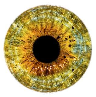 Eyes PNG PNG images