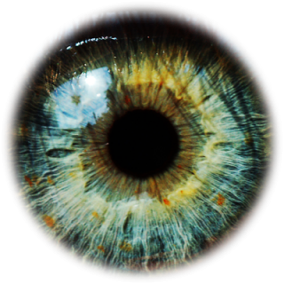 Eyes Png PNG images