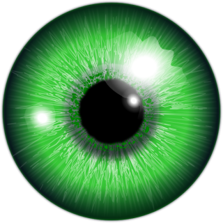 Green Eye Clipart Png PNG images