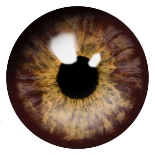 Eye PNG, Eye Transparent Background - FreeIconsPNG