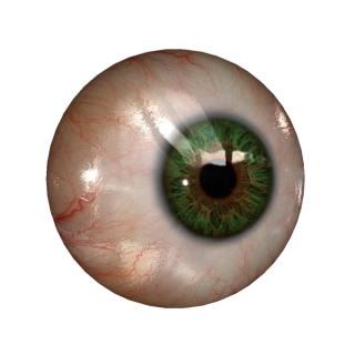 Real Eye PNG PNG images