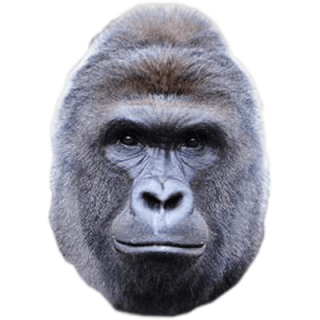 Harambe Gorillas Face Png PNG images