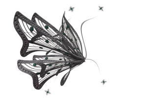 Pictures Fairy Wings Free Clipart PNG images