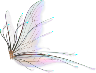 Fairy Wings Png Hd PNG images
