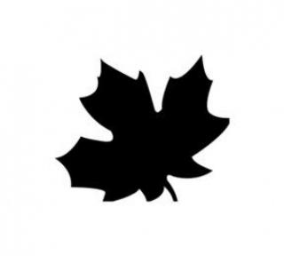 Fall Leaf Icon PNG images