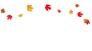 Falling Leaves Transparent PNG, Falling Leaves Transparent Transparent  Background - FreeIconsPNG