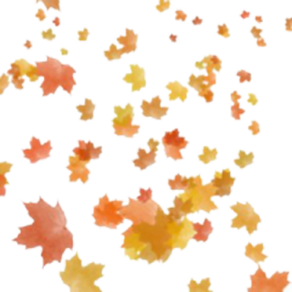 fall leaf clipart no background