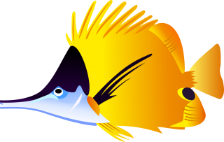 Picture Fish Download PNG images
