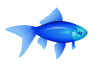 Little Blue Fish Png PNG images