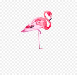Colorful Cute Flamingo Images PNG images