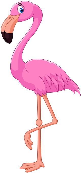 Confused Minister Flamingo Photos PNG images