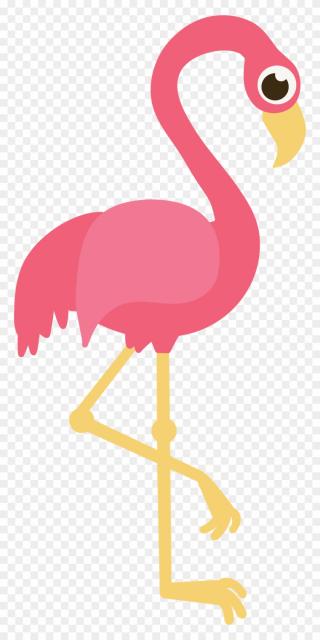 Cute And Beautiful Flamingo Photos PNG images