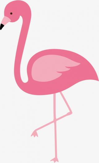 Flamingo PNG Transparent Image PNG images