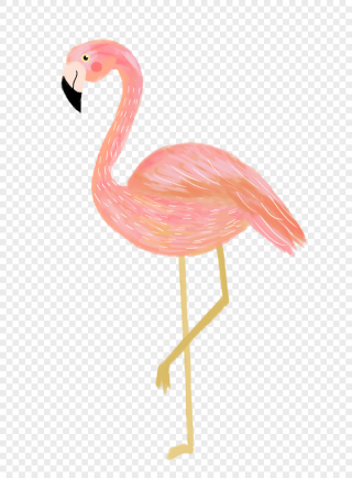 Flamingo Transparent Background Images PNG images