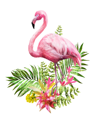 Flowers And Leaves Flamingo Images PNG images