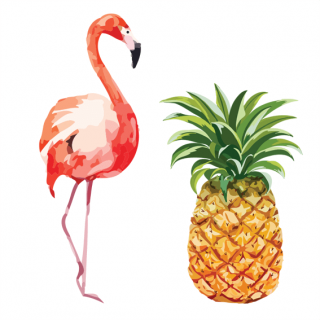 Pineapple And Flamingo Image Symbol PNG images