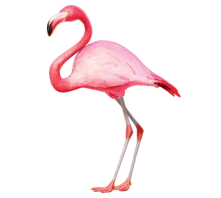 Pink And Red Get Flamingo Png Pictures PNG images