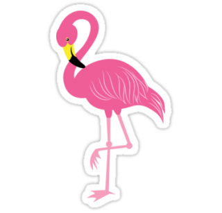 Pink Flamingo Blcak Beak Images PNG images