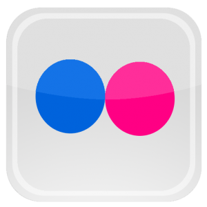 Flickr Logo PNG Flickr Logo Transparent Background FreeIconsPNG