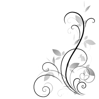 Black And White Flower png download - 486*760 - Free Transparent Mandrake  png Download. - CleanPNG / KissPNG