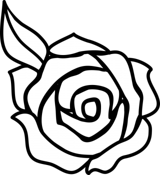 Black And White Flower png download - 486*760 - Free Transparent Mandrake  png Download. - CleanPNG / KissPNG