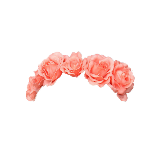 Crown Of Flowers Png PNG images