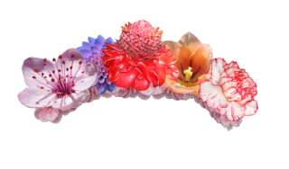 Crown Of Flowers Png PNG images