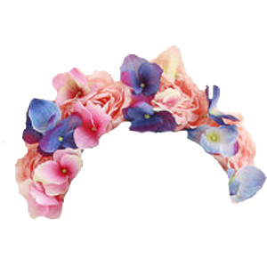 Flower Crown Png Flower Crown Transparent Background Freeiconspng