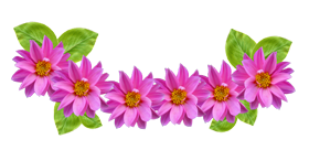 Flower Crown Clip Art Png PNG images