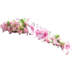 Flower Crown Png PNG images