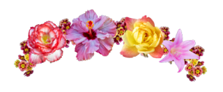 Flower Crown Png Clipart PNG images