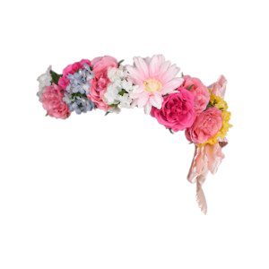 Flower Crown Png Images PNG images