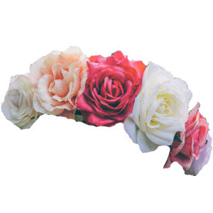 Flower Crown Png Images Transparent PNG images